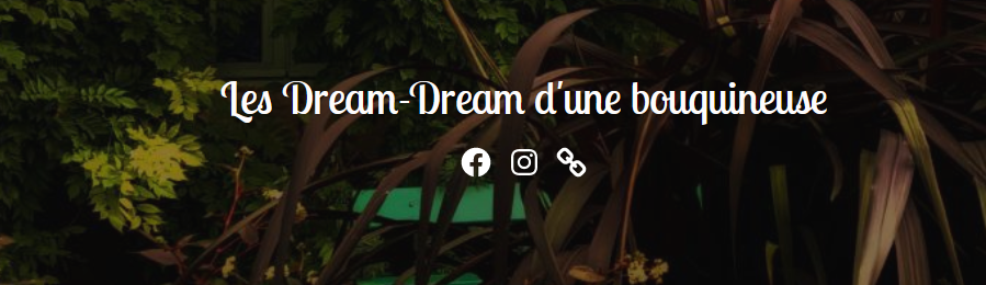 Entretien avec Enora des Dream-Dream d'une bouquineuse